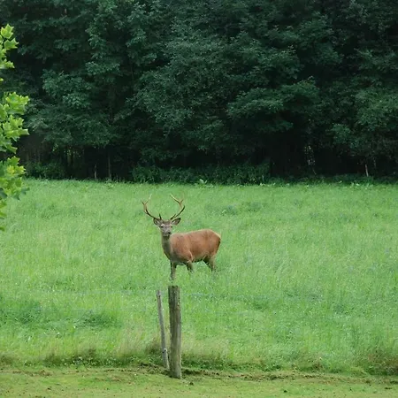 Met Hottub En Zicht Op De Semois Nyaraló